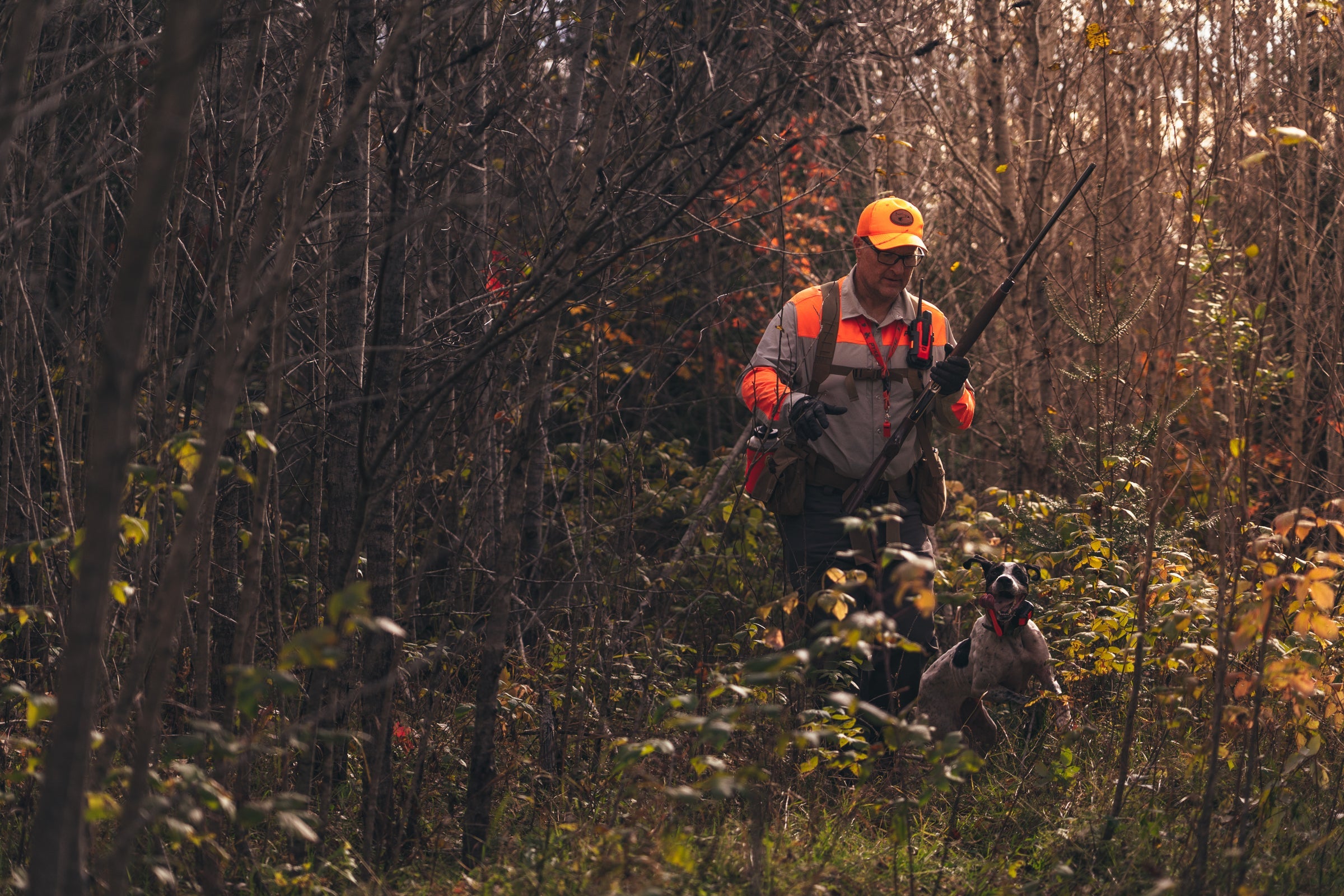 upland hunter in thick cover with proper hunting gear