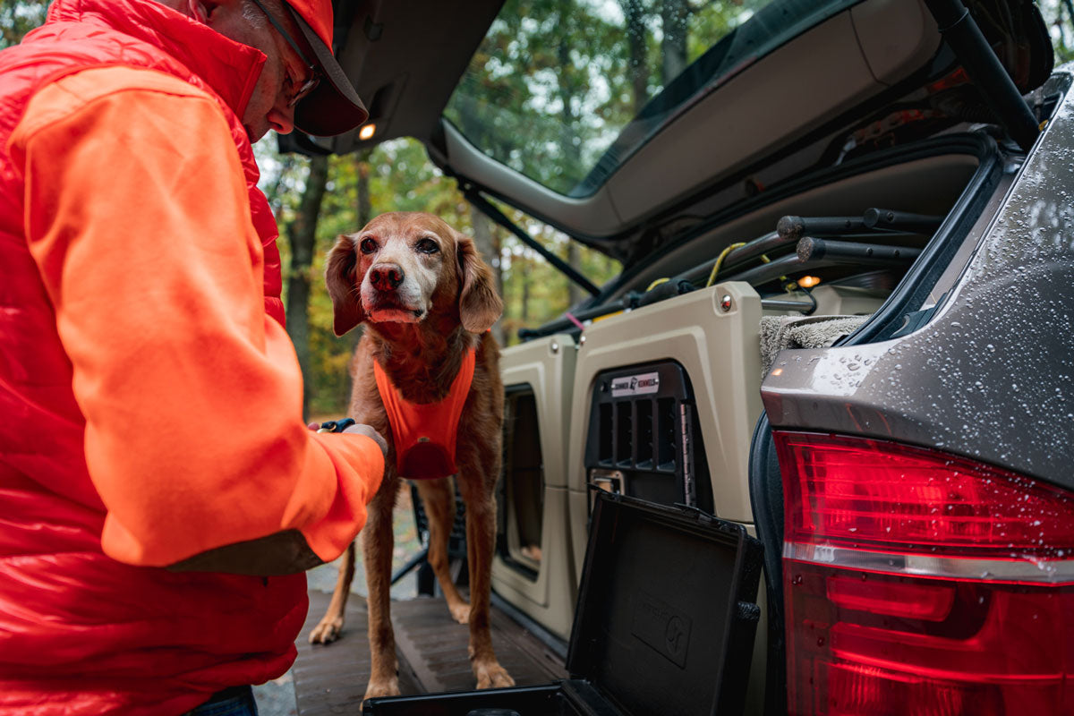 traveling with hunting dogs first aid health