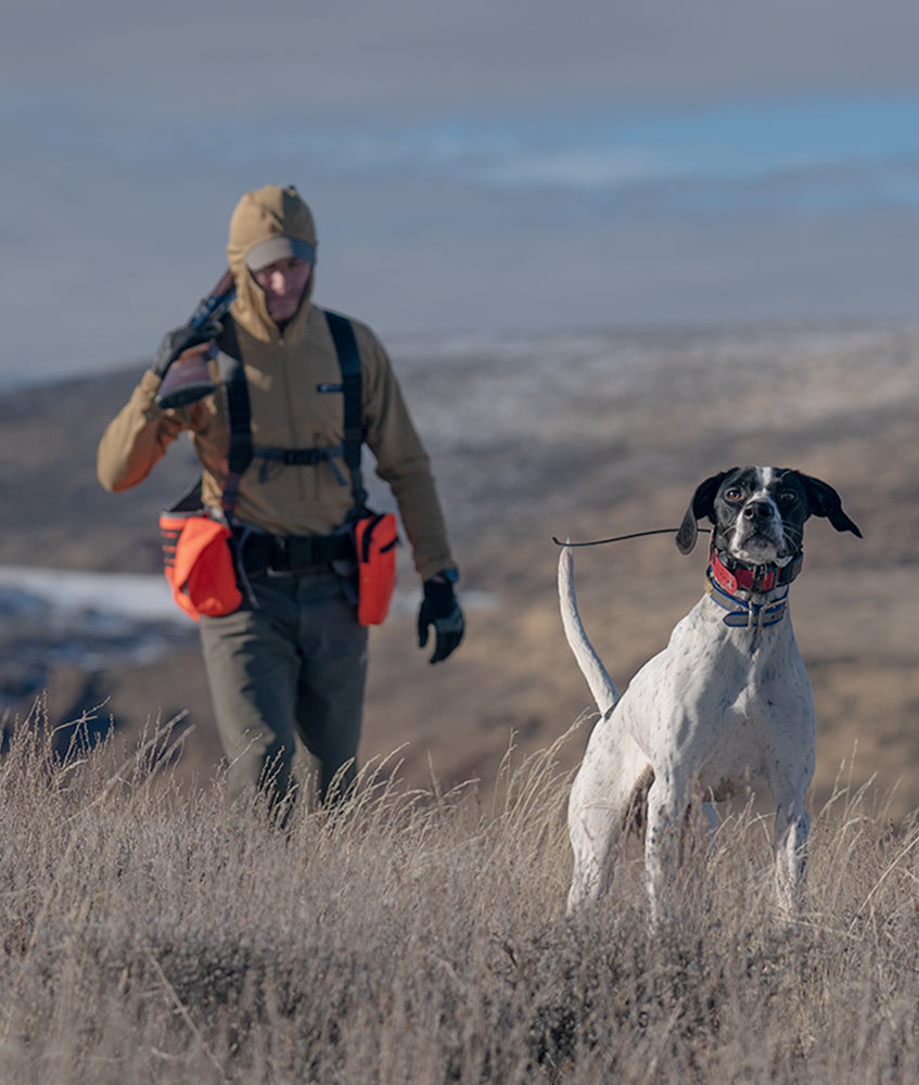 Best Clothing For Dog Training