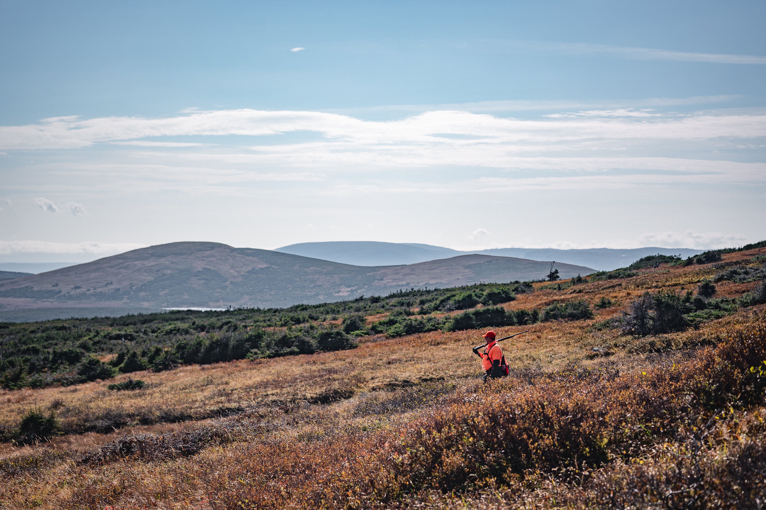Early Season Upland Picks
