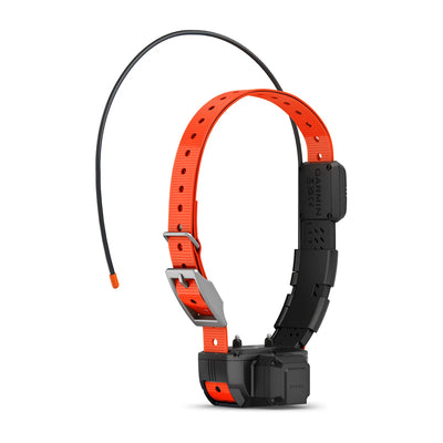 Gamin Alpha TT25 Dog Collar With Tracking Beeper